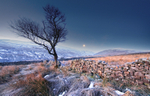 Frosty Morning 3 - Yorkshire Dales