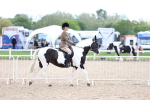 SBM_15750