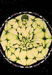 Unknown Constellations  © Rowan Taliesin 1985