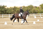 SBM_010899