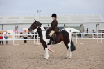 Class 315 Best Horse/Rider Combination portfolio