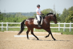 SBM_009656