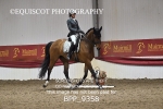 BPP_9358