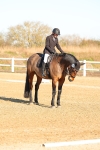 SBM_003782