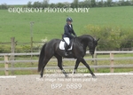 BPP_6889