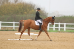 SBM_002096