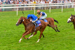 170623-Race 2-Wild Lion-7003