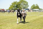 SBM_04230