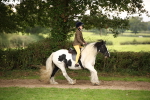 SBM_73457