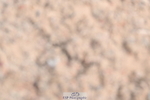 240623A-095509-16374