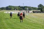 080726-Race 5-Sugarpiehoneybunch-7524