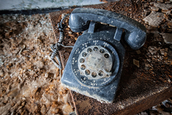Forest Haven (Laurel, MD) | No One to Call