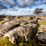 Winskill Stones light.
