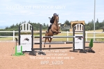 BPP_6205