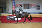 SBM_06067