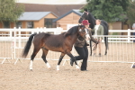 SBM_08420
