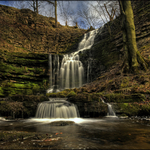 Scalebar Force