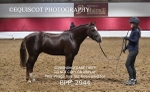 BPP_2944