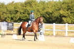 SBM_016698