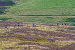 Ennerdale Show-6