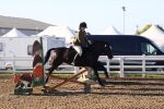 SBM_07906