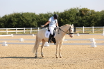SBM_002831