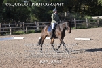 BPP_8552