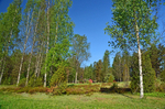 Nuuksio National Park, Uusimaa, Finland