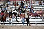 3HRodeo7-20-25_CFD_03203_