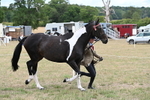WJ6_5273