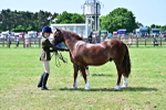 SBM_03870