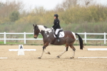SBM_000646