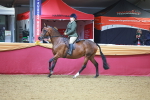 SBM_10652