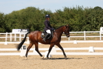 SBM_002906