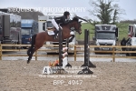 BPP_4947