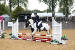 J3a - Clear Round - Mixed Height portfolio