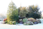 DECEMBER 2014-7