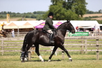 SBM_17829