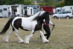 WJ6_6519