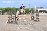 BPP_7833