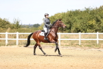 SBM_000763