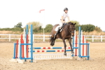 SBM_002305