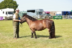 SBM_01855