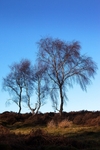 Hathersage Moor, Peak District