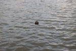 AA9_0890