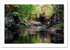 And Quiet Flows the Esk ♦ NORTH ESK GORGE