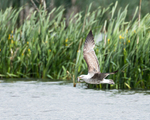 20140511-3K8A1146