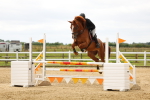SBM_009396