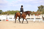 SBM_11583