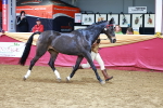SBM_16121